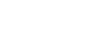 Total Fiat